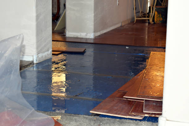 Professional Water Damage Restoration technician working in Sidney, IL